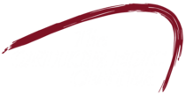 The Orthopedics Center TOC Logo wt